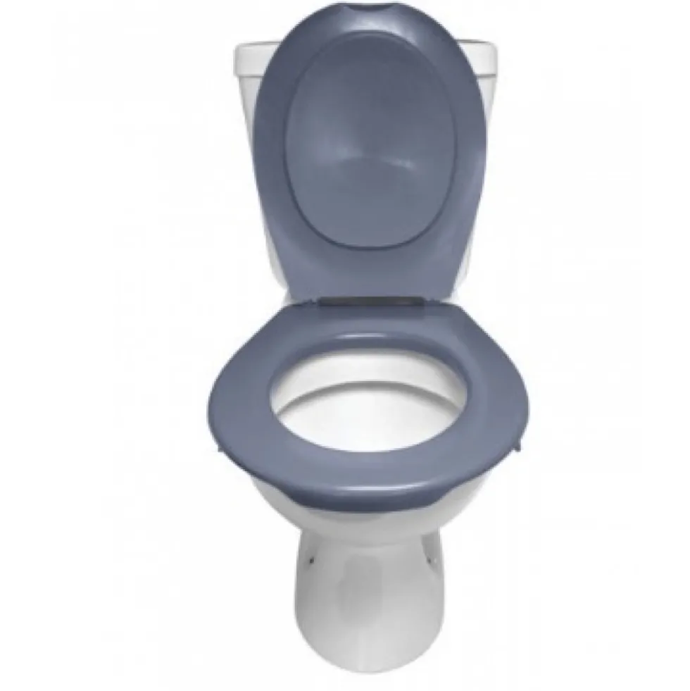 Pack Lunette et Abattant WC clipsable - Gris PAPADO