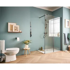 Paroi de douche à l'italienne 120 cm - noir mat - Serenity JACOB DELAFON