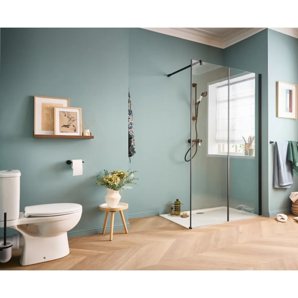 Paroi de douche à l'italienne 120 cm - noir mat - Serenity JACOB DELAFON