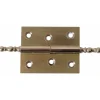 Paumelle rectangulaire à vases en laiton poli BRICOZOR