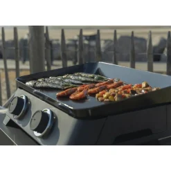 Plancha gaz - 2 brûleurs - DUNE 60 COOK IN GARDEN