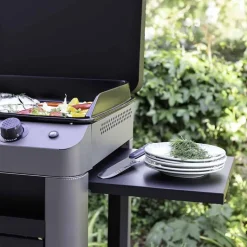 Plancha gaz 60 cm sur chariot - Combo Fusion 60 ENO