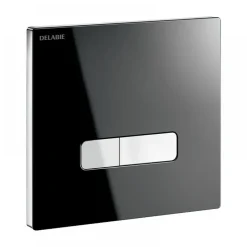 Plaque de commande WC double avec robinet temporisé - verre noir - Tempoflux 3 DELABIE