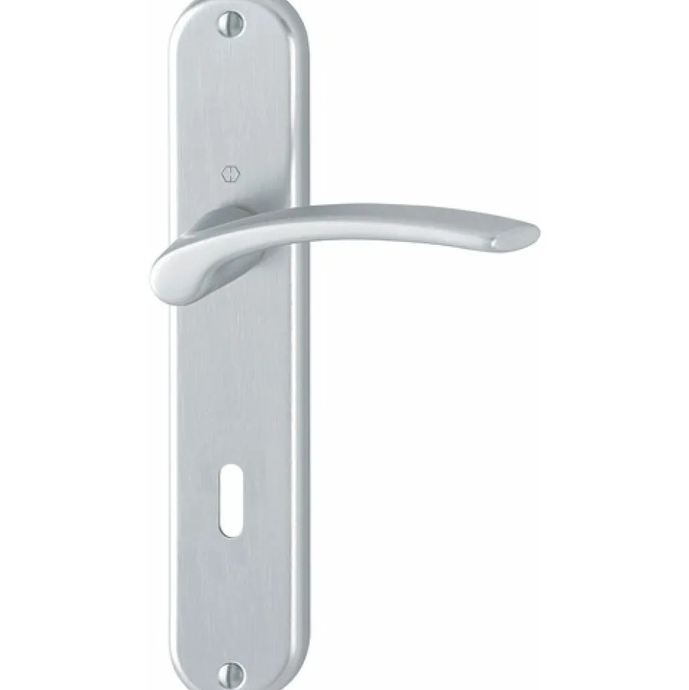 Poignées de porte sur grande plaque - aluminium anodisé - Ibiza HOPPE