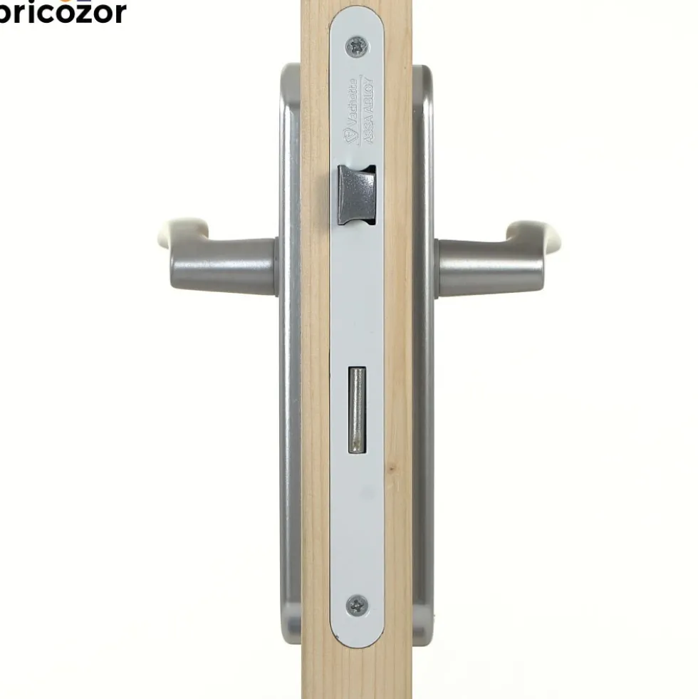 Poignées de porte sur grande plaque - aluminium anodisé - Ibiza HOPPE