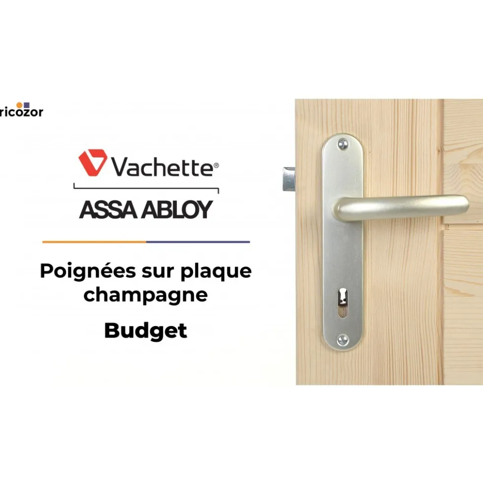 Poignées de porte sur plaques - aluminium champagne - Budget VACHETTE