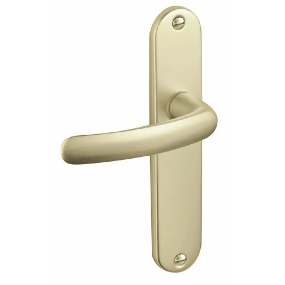 Poignées de porte sur plaques - aluminium champagne - Budget VACHETTE