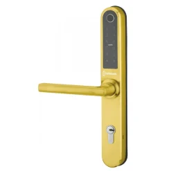 Poignées de porte sur plaques - électroniques - Intelock Multi - doré FTH THIRARD