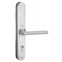 Poignées de porte sur plaques - électroniques - Intelock Multi - argent FTH THIRARD