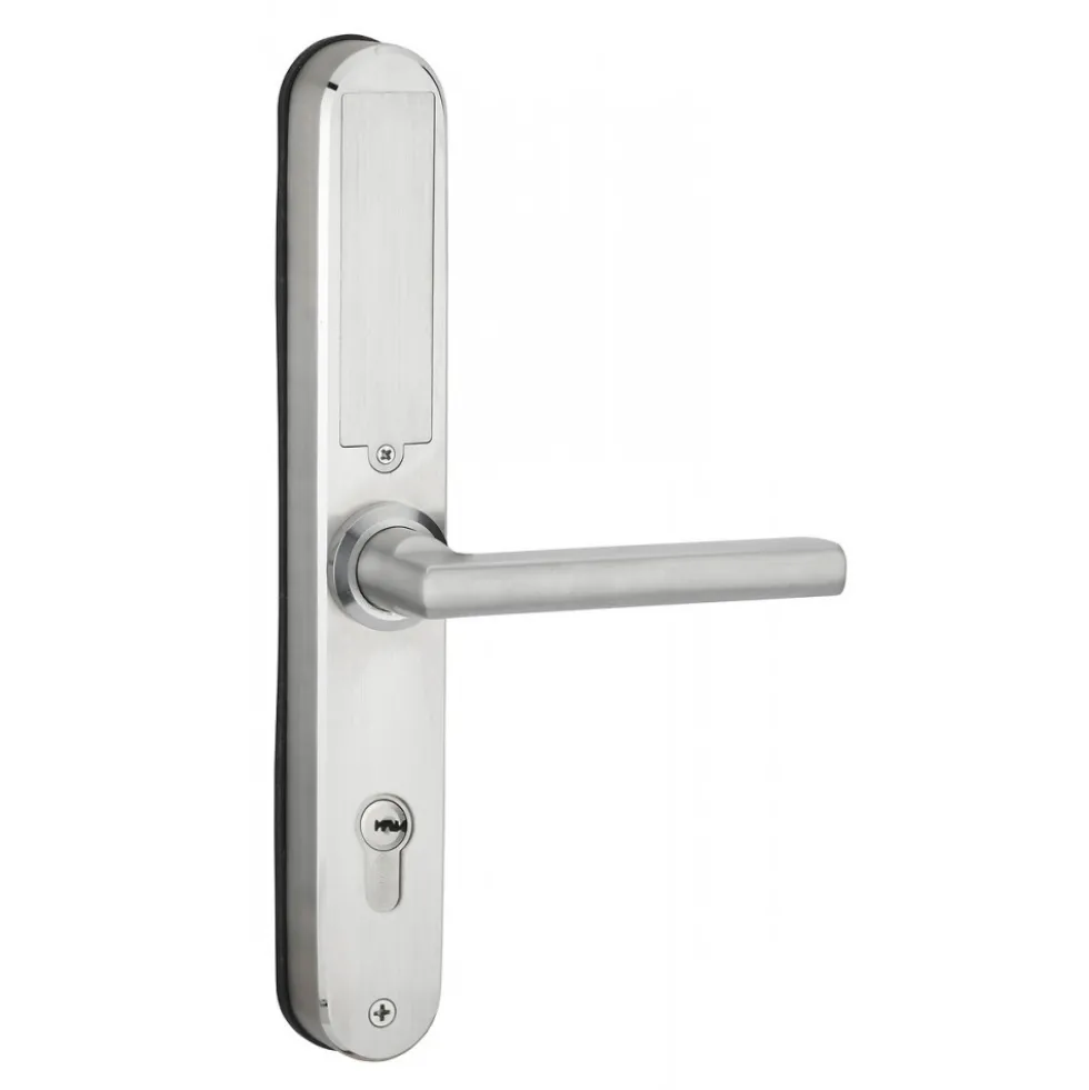 Poignées de porte sur plaques - électroniques - Intelock Multi - argent FTH THIRARD