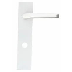 Poignées de porte sur plaques - pour Porte Sans Souci type 690 FICHET