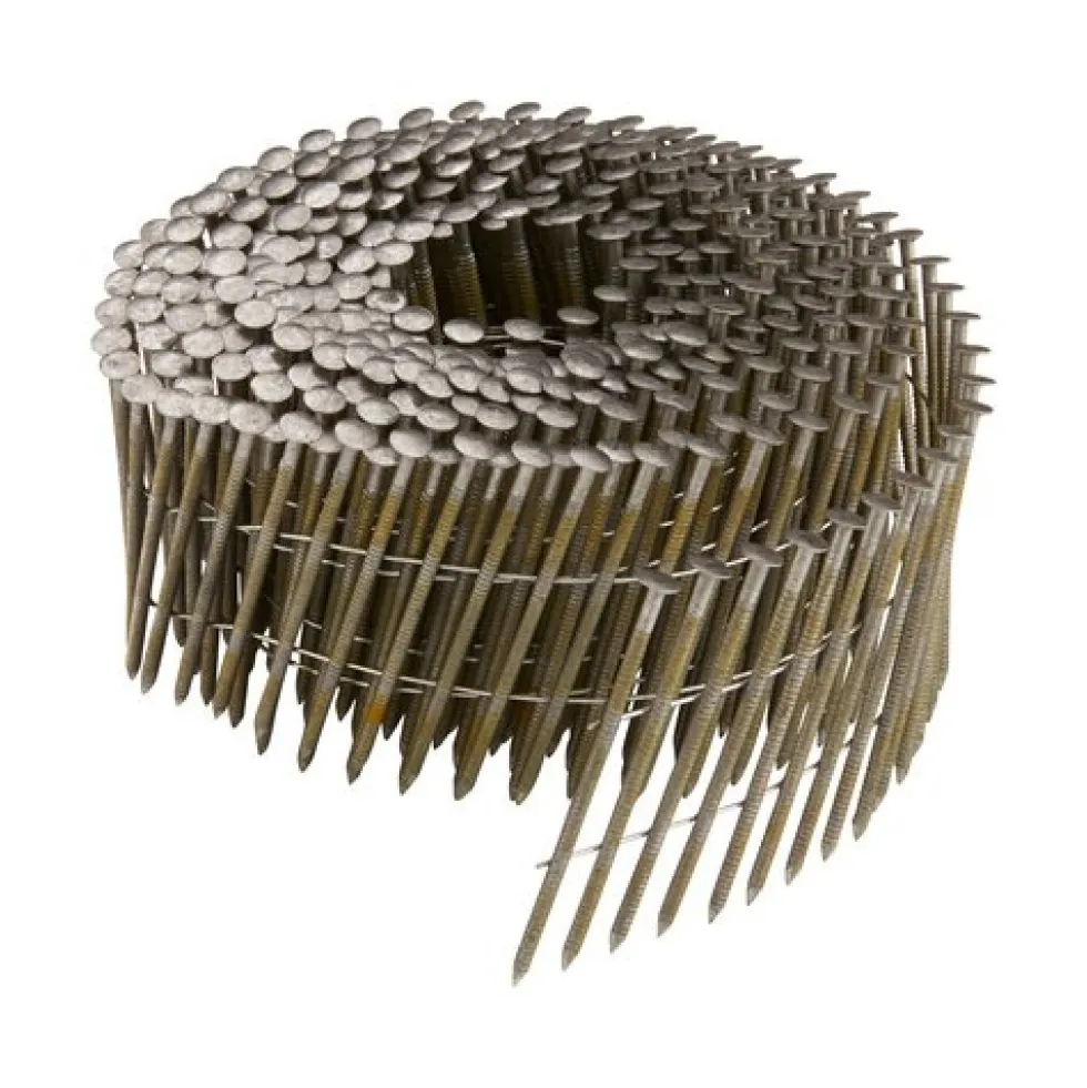 Pointes en rouleau crantées en acier inox DEWALT