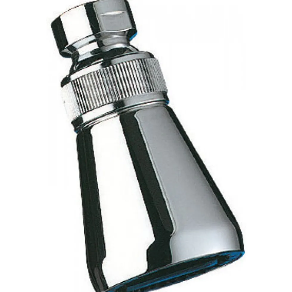 Pomme de douche Gym confort DELABIE