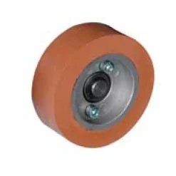 Rouleau caoutchouc 80 mm pour entraineur ENT032 LEMAN