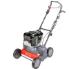 Scarificateur électrique 42 cm - Egopower+ 56V - Solo EUROSYSTEMS