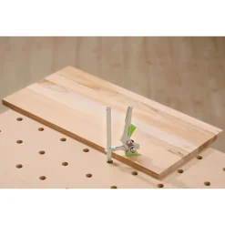 Serre joint rapide FS-HZ 160 - 491594 FESTOOL