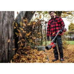 Souffleur de feuilles sans fil Pro 36V - GP-LB 36/270 Li E BL-Solo - Power X-Change EINHELL PROFESSIONAL