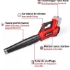 Souffleur de feuilles sans fil Pro - GP-LB 36/230 Li E BL-Solo - Power X-Change EINHELL PROFESSIONAL