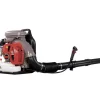 Souffleur thermique 3000W - CEB-800 CAMPEON