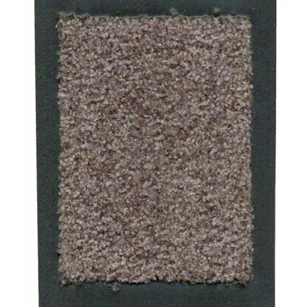 Tapis d'entrée 60x90 cm Evolution BTB