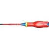 Tournevis isolés 1000V phillips/pozidriv - Protwist Borneo FACOM