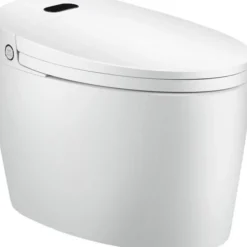 WC monobloc Luxe DIAMOND PLUS V2 TopToilet