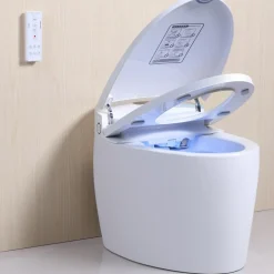 WC monobloc Luxe DIAMOND PLUS V2 TopToilet