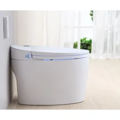 WC Monobloc Luxe DIAMOND V2 TopToilet