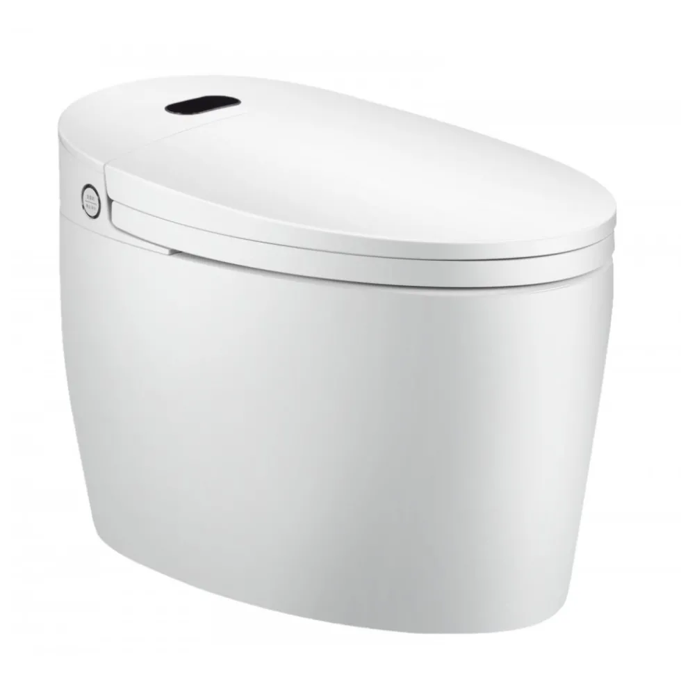 WC Monobloc Luxe DIAMOND V2 TopToilet