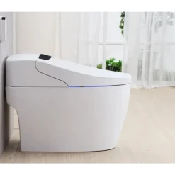WC Monobloc Luxe PLATINIUM 2 V2 TopToilet