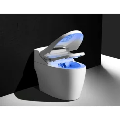 WC Monobloc Luxe PLATINIUM 2 V2 TopToilet